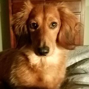 Meet your Posher, Sue